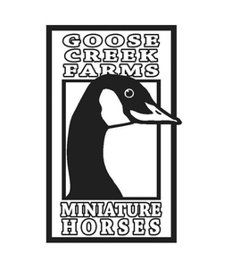 GOOSE CREEK FARMS MINIATURE HORSES trademark