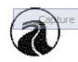 CAPTURE trademark