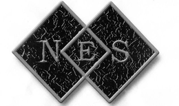 NES trademark