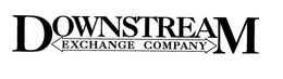 DOWNSTREAM EXCHANGE COMPANY trademark