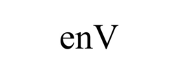 ENV trademark