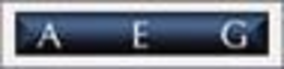 A E G trademark