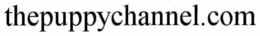 THEPUPPYCHANNEL.COM trademark