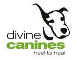 DIVINE CANINES HEEL TO HEAL trademark