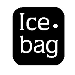 ICE. BAG trademark