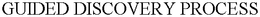 GUIDED DISCOVERY PROCESS trademark