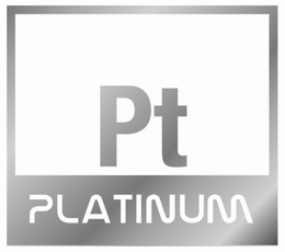 PT PLATINUM trademark