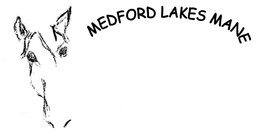 MEDFORD LAKES MANE trademark