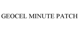 GEOCEL MINUTE PATCH trademark
