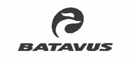 BATAVUS trademark