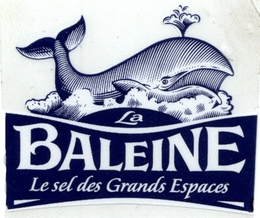 LA BALEINE LE SEL DES GRANDS ESPACES trademark
