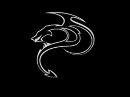 DS trademark