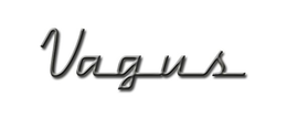 VAGUS trademark