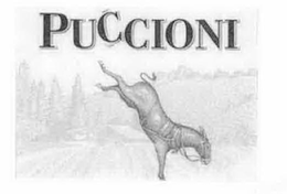 PUCCIONI trademark