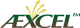AEXCEL trademark