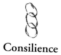 CONSILIENCE trademark