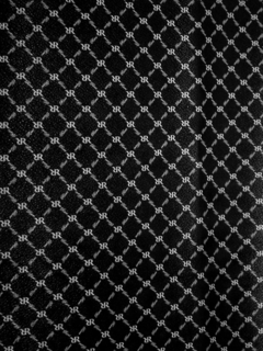 RR RIONI trademark
