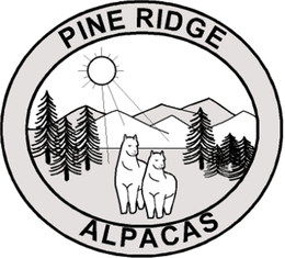 PINE RIDGE ALPACAS trademark