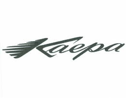 KAEPA trademark