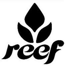 REEF trademark
