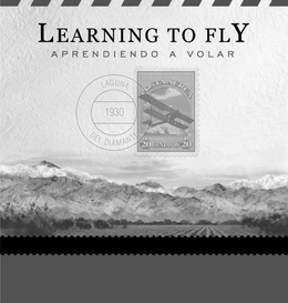 LEARNING TO FLY APRENDIENDO A VOLAR LAGUNA DEL DIAMANTE 1930 POSTA AEREA 20 CENTAVOS 20 trademark