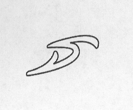 DS trademark