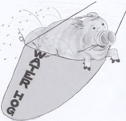 WATER HOG trademark