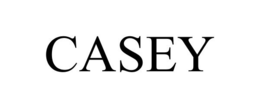 CASEY trademark