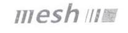 MESH trademark