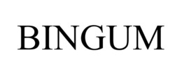 BINGUM trademark