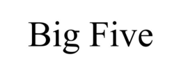 BIG FIVE trademark