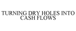 TURNING DRY HOLES INTO CASH FLOWS trademark