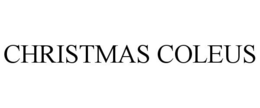 CHRISTMAS COLEUS trademark