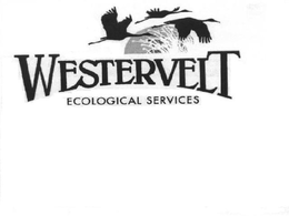 WESTERVELT ECOLOGICAL SERVICES trademark