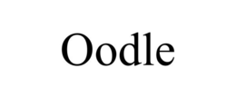 OODLE trademark