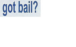 GOT BAIL? trademark