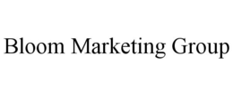 BLOOM MARKETING GROUP trademark