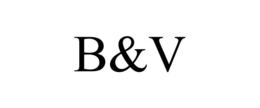 B&V trademark