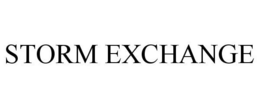 STORM EXCHANGE trademark