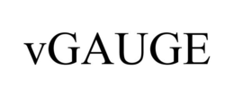 VGAUGE trademark