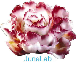 JUNELAB trademark