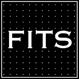 FITS trademark