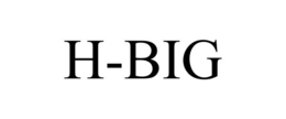 H-BIG trademark