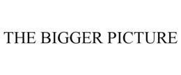 THE BIGGER PICTURE trademark