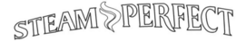 STEAM PERFECT trademark