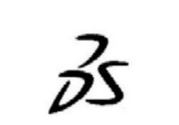 DS trademark