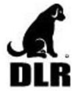 DLR trademark