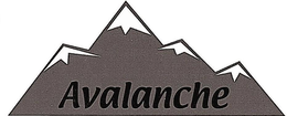 AVALANCHE trademark