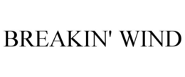 BREAKIN' WIND trademark