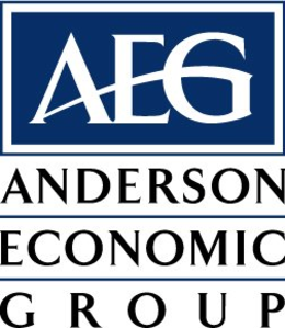AEG ANDERSON ECONOMIC GROUP trademark